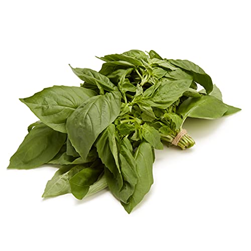 Organic Basil 0.5 oz