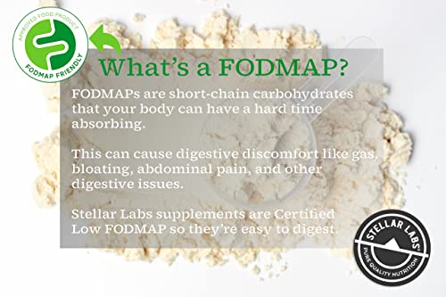 Vanilla Low FODMAP Whey Protein Powder (2 lbs)