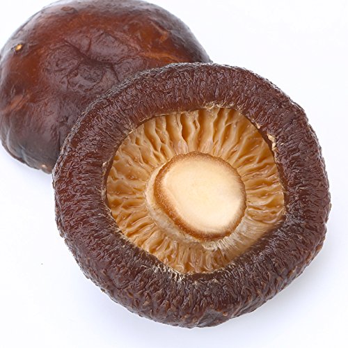 Dried Shiitake Mushrooms (16 oz)